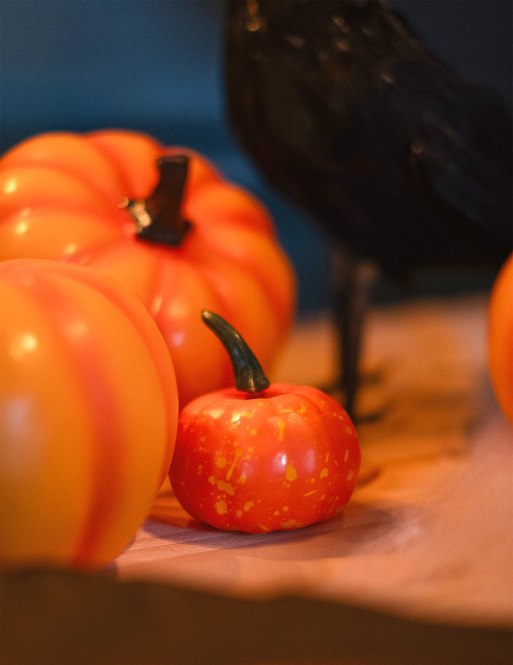 Gros plan avec un corbeau noir des petites citrouilles d'Halloween pour décoration
