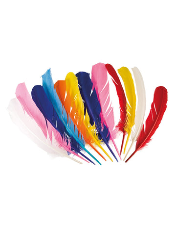 12 plumes indiennes multicolores