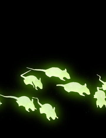 12 černých a fosforeskujících krys 4 cm Halloween