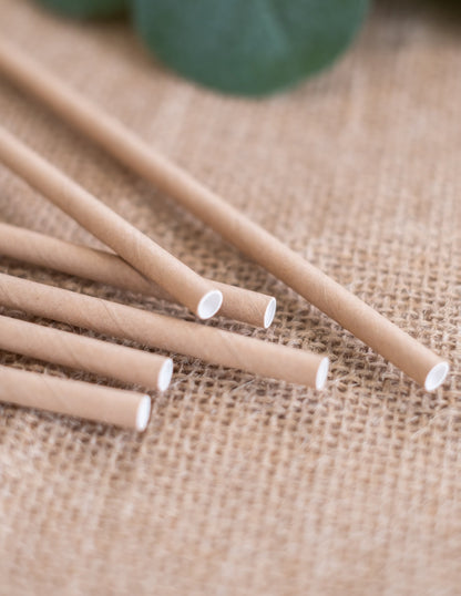 20 Kraft Color Cardboard Straws 20 cm