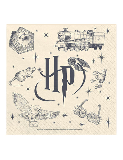 20 Ubrousků Harry Potter™ 33 x 33 cm