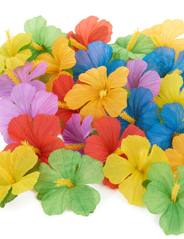 24 havajských květin