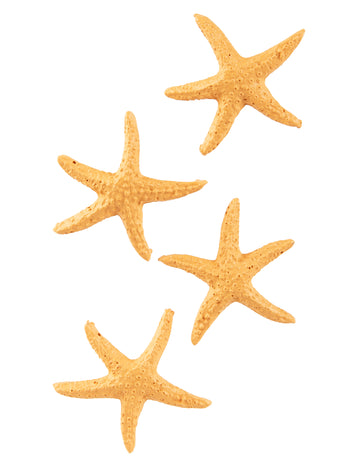 4 Pryskyřičná hvězdice 4,5 cm