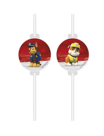4 brčka Paw Patrol Ready for Action z kartonu s medailonky