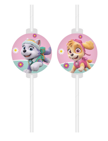 4 brčka Paw Patrol s medailonky Skye a Everest