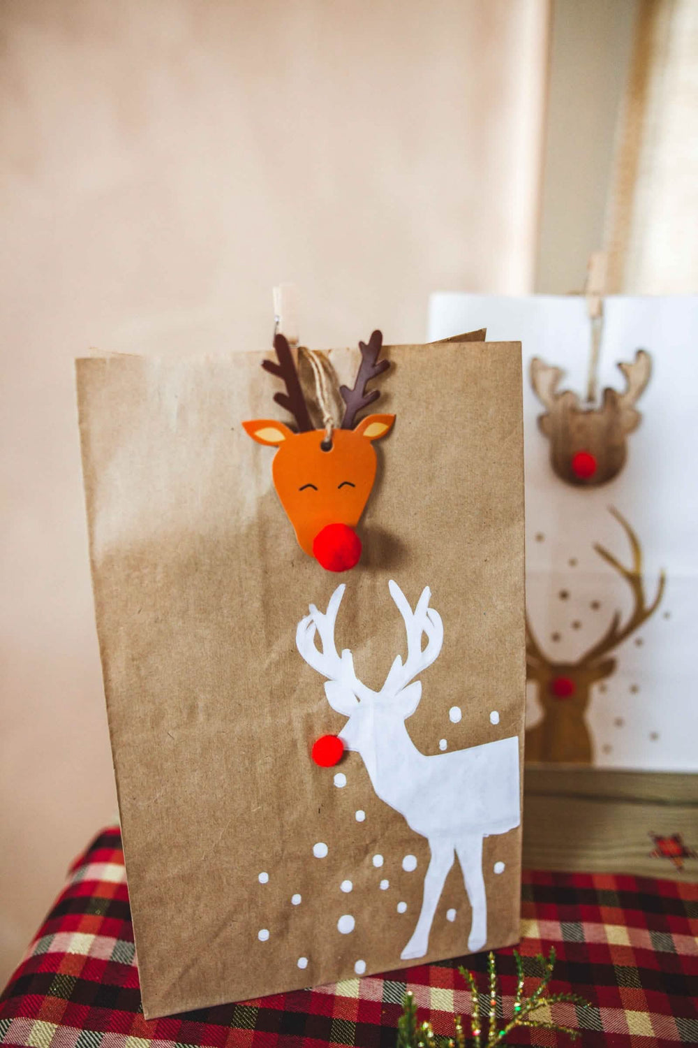 Detail na kraftovou verzi papírových sáčků Rudolph sobi na vánoce