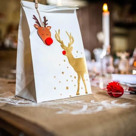 Detail na kraftovou verzi papírových sáčků Rudolph sobi na vánoce
