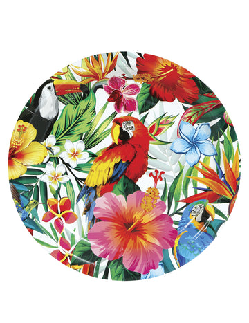 6 Assiettes oiseaux tropicaux 23 cm