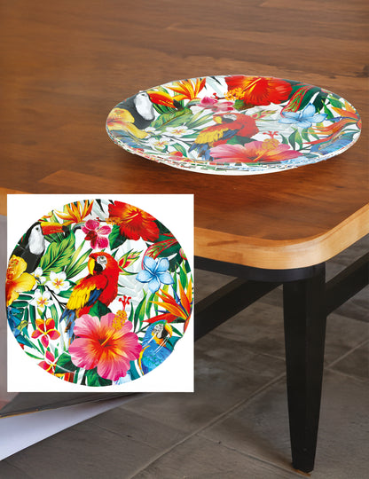 6 Assiettes oiseaux tropicaux 23 cm