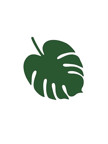 6 havajských listových dekorací na stůl 10 x 15 cm