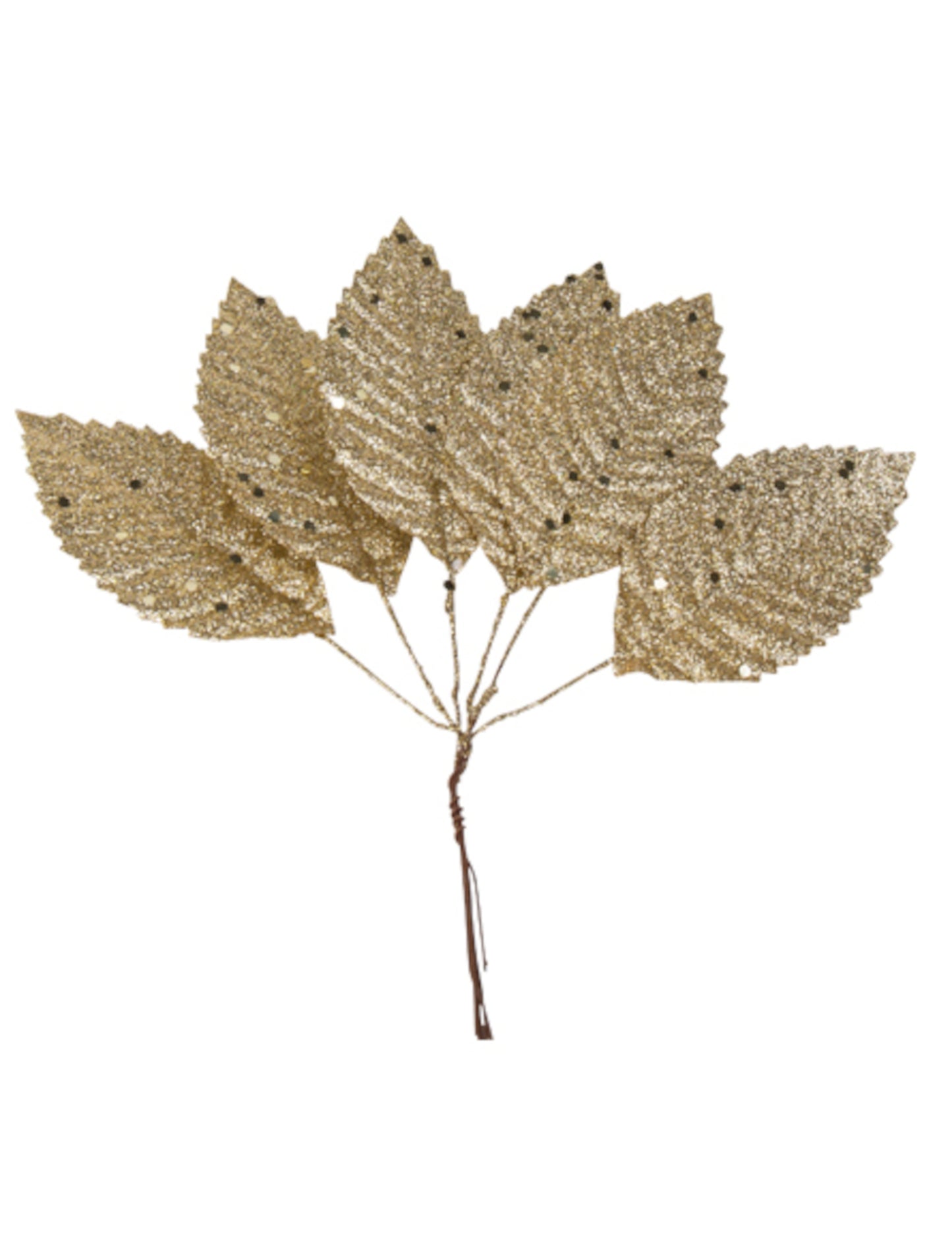 6 listů na stonku šampaňského třpytu 19 cm na Vánoce