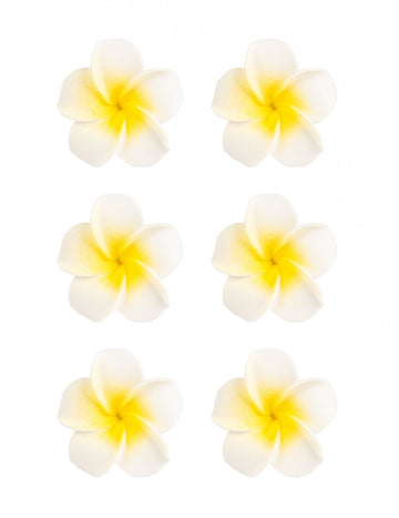 6 bílých umělých květů monoi 5 cm pěnové lepidlo