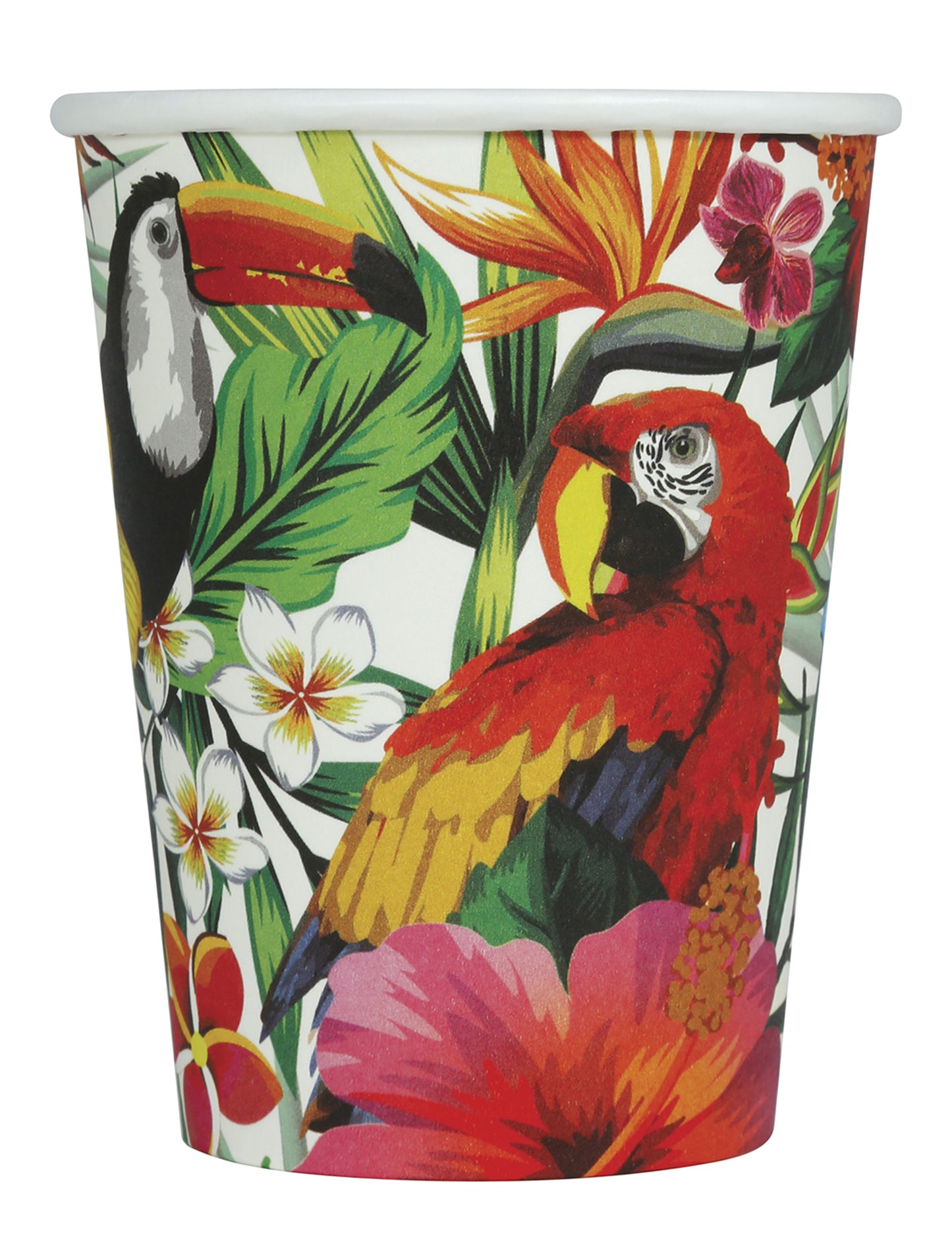 6 Gobelets oiseaux tropicaux 240 ml