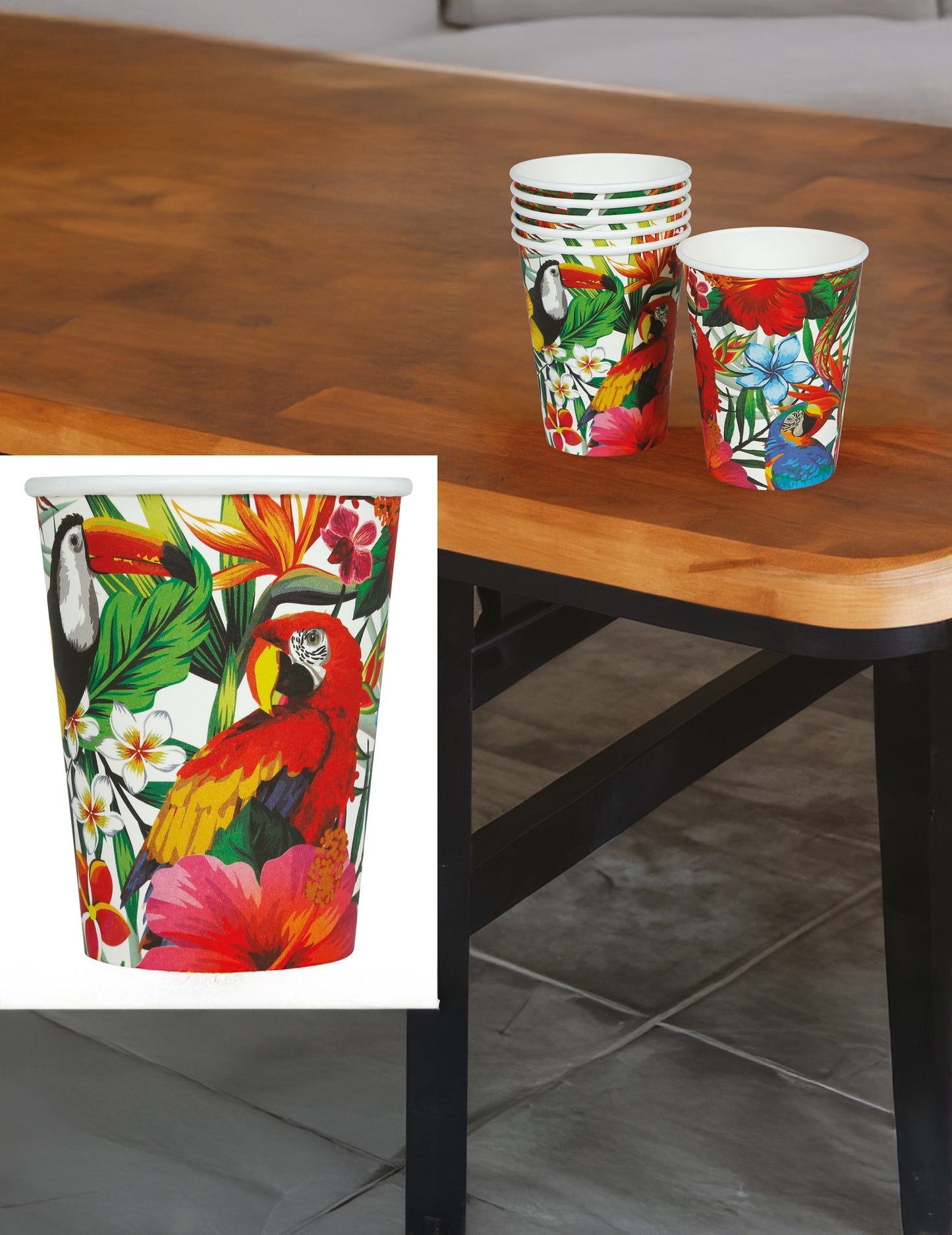 6 Gobelets oiseaux tropicaux 240 ml
