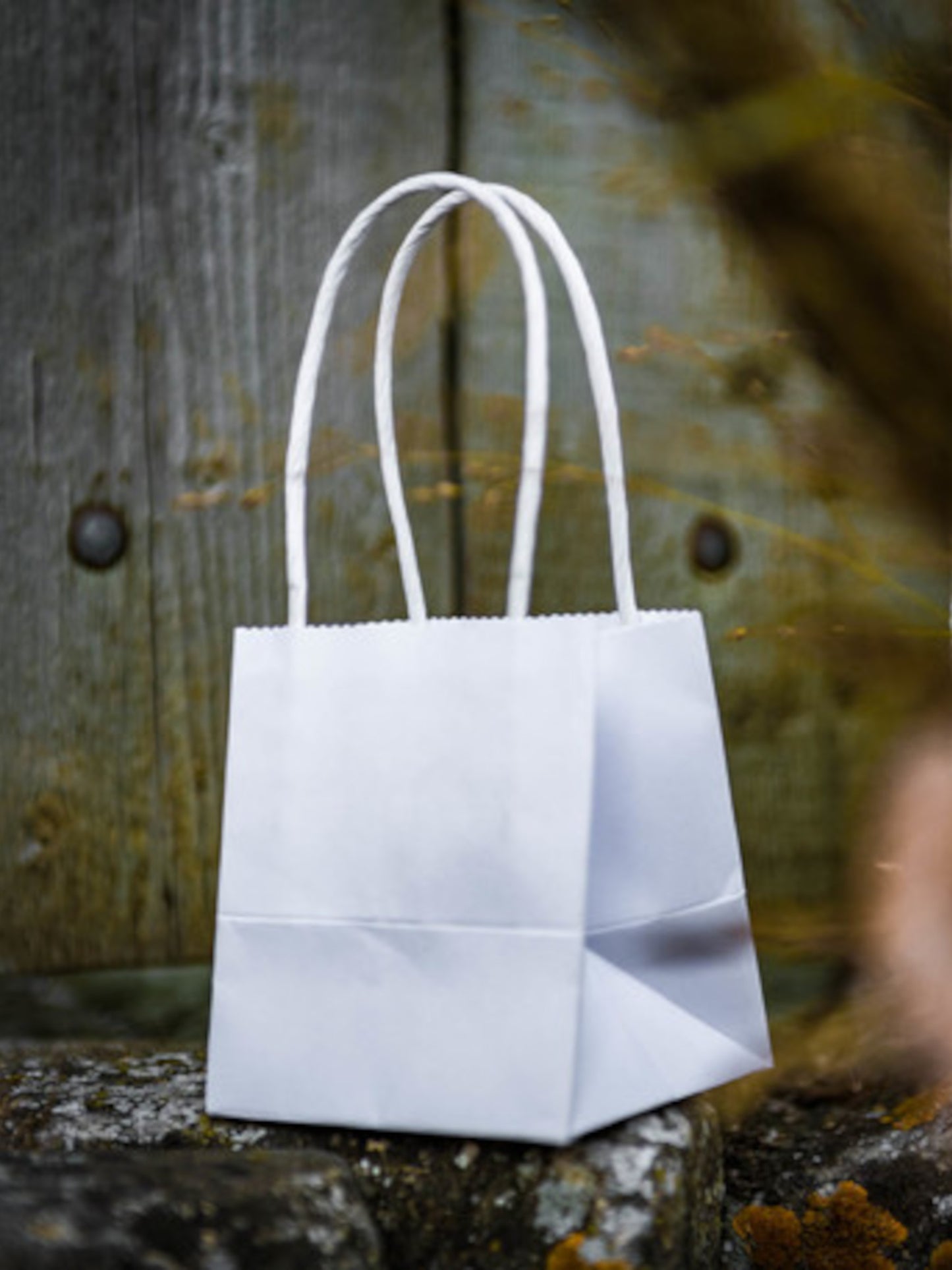 6 malých bílých kartonových sáčků 9 x 10 cm se zkroucenými rukojeťmi