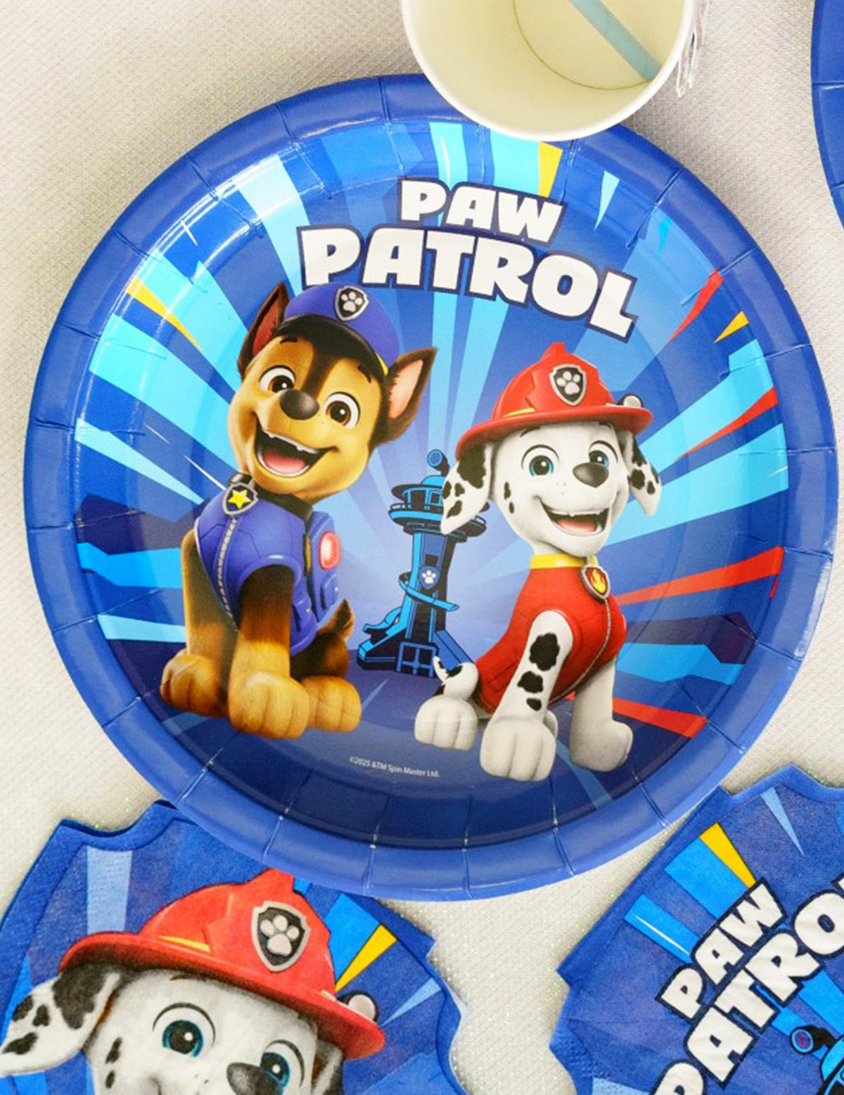 8 modrých kartonových talířů Pat'patrouille™ 23 cm
