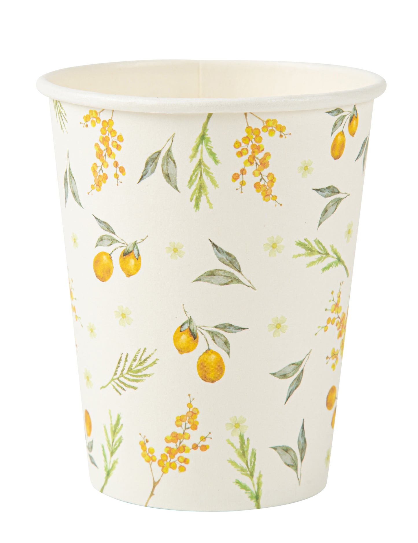 8 kartonových pohárků na citron a listy 255 ml k narozeninám