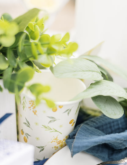 8 kartonových pohárků na citron a listy 255 ml k narozeninám