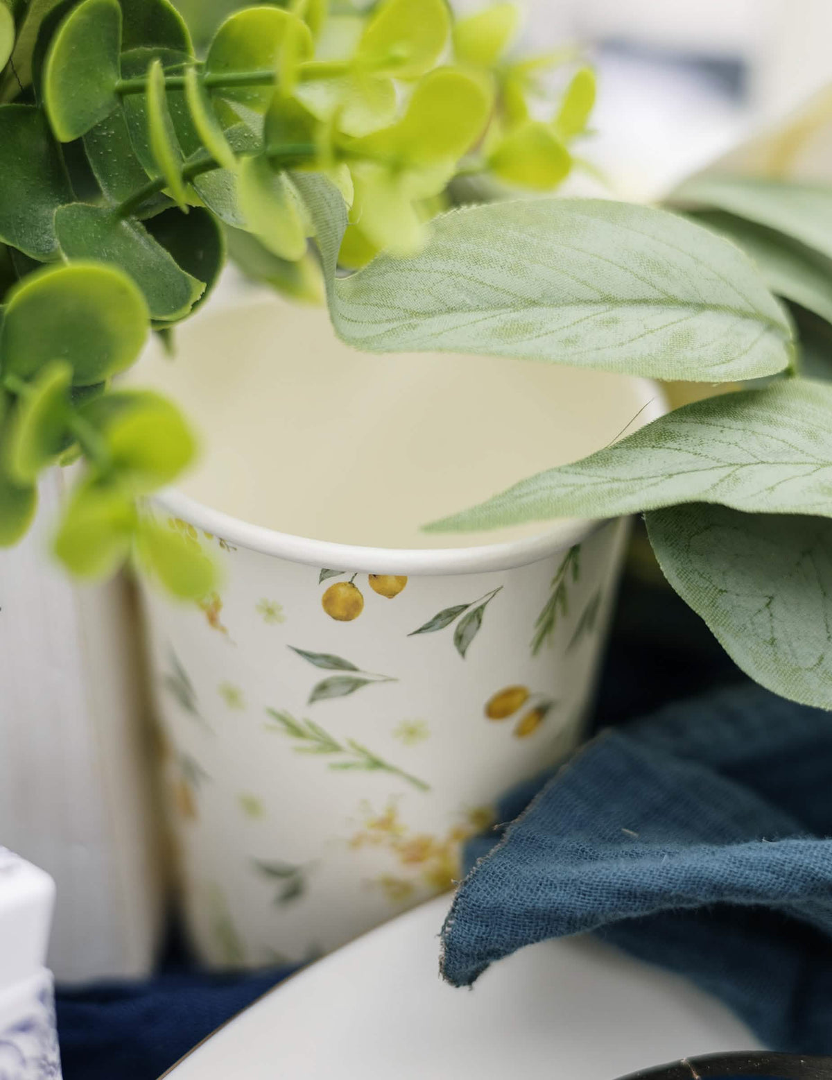 8 kartonových pohárků na citron a listy 255 ml k narozeninám