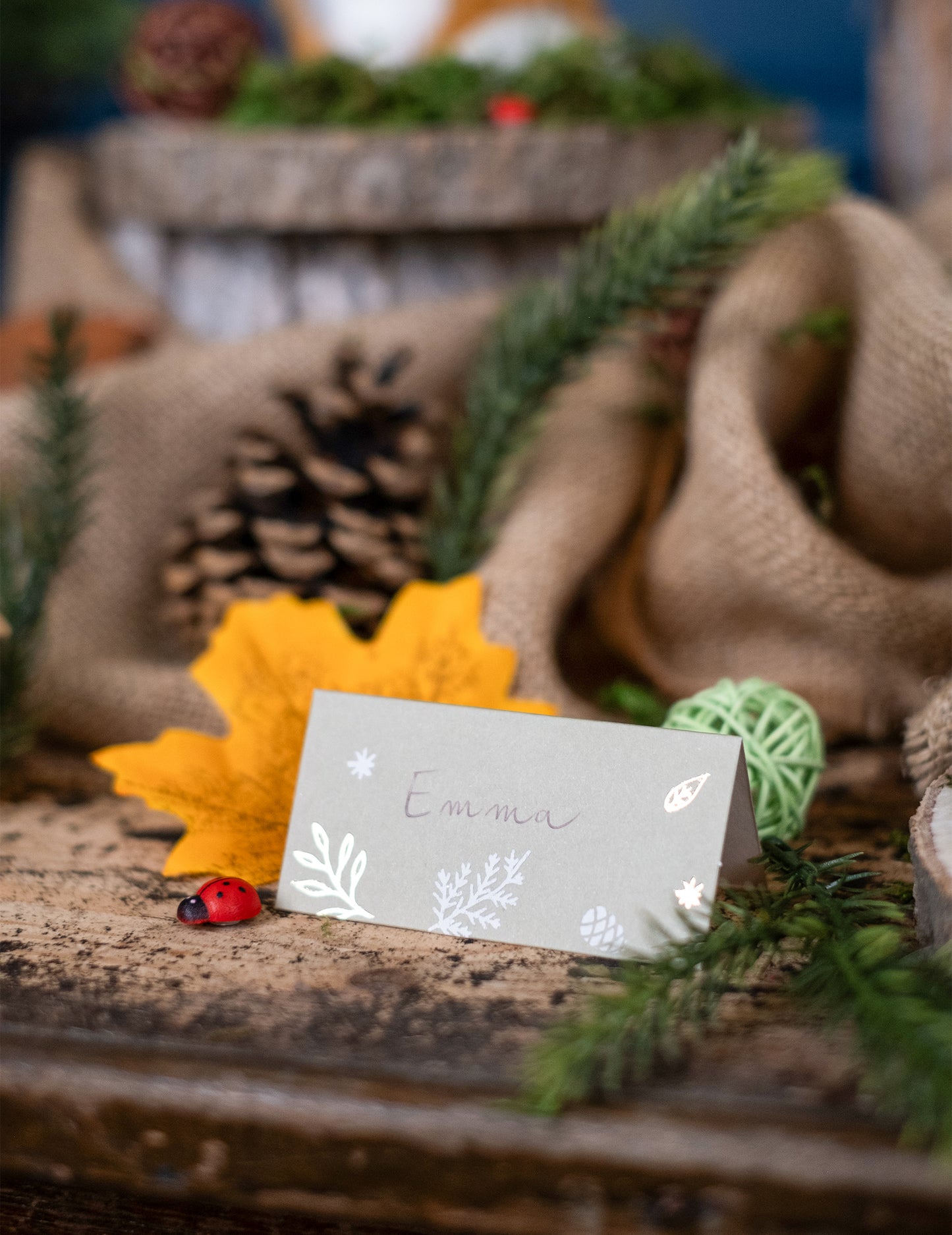 Mise en situation avec décor naturel du marque-places Noël botanique pour table