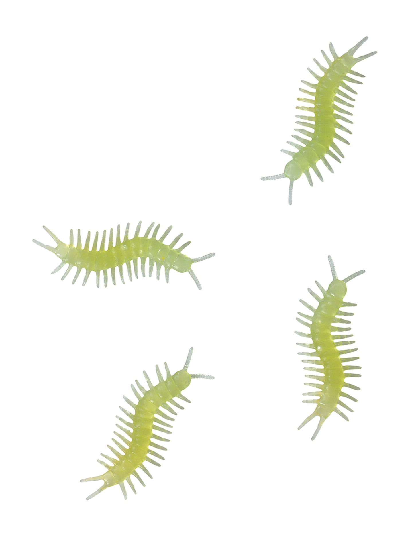 8 fosforeskujících mnohonožek 6 cm