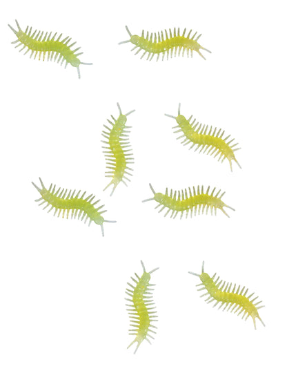 8 fosforeskujících mnohonožek 6 cm