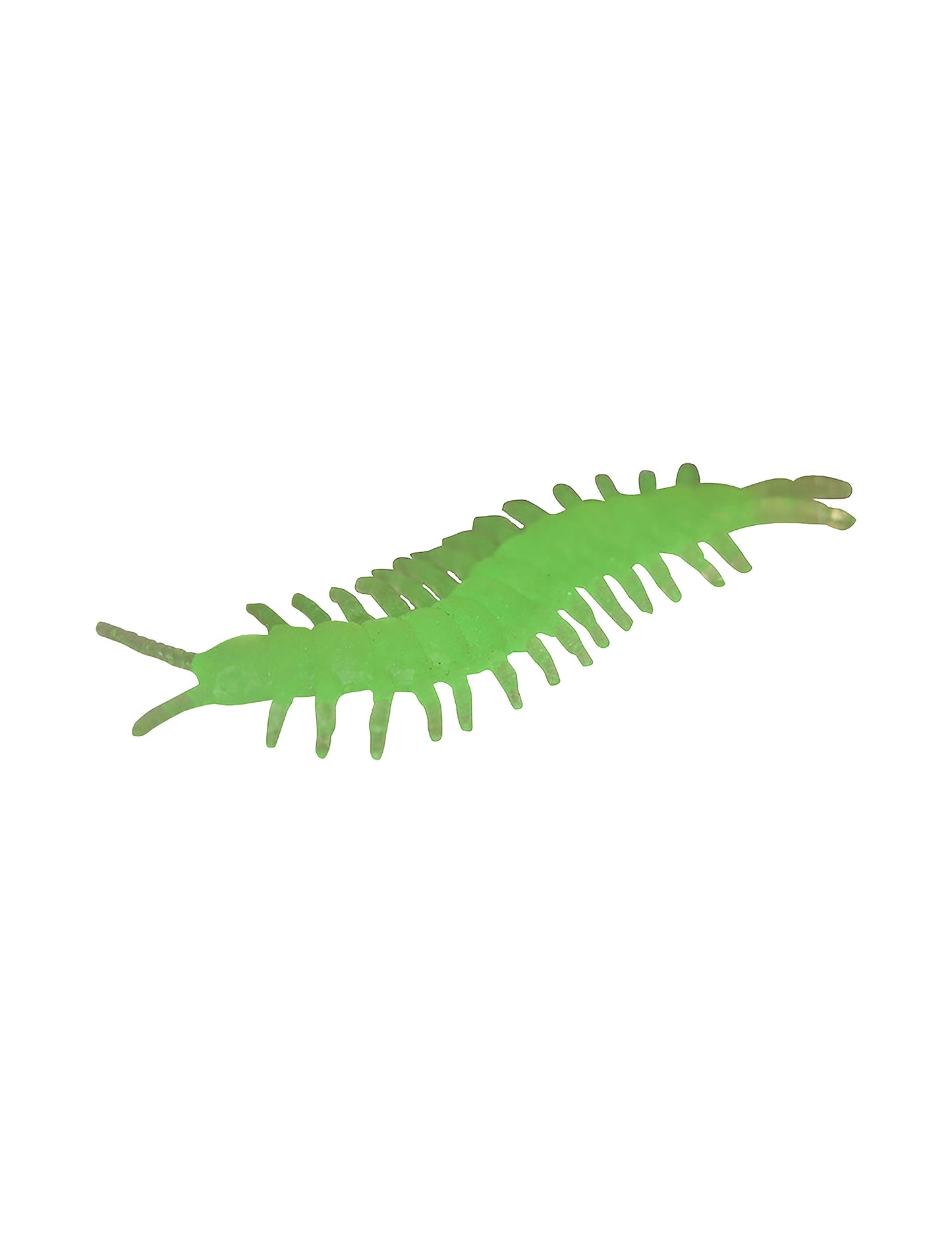 8 fosforeskujících mnohonožek 6 cm