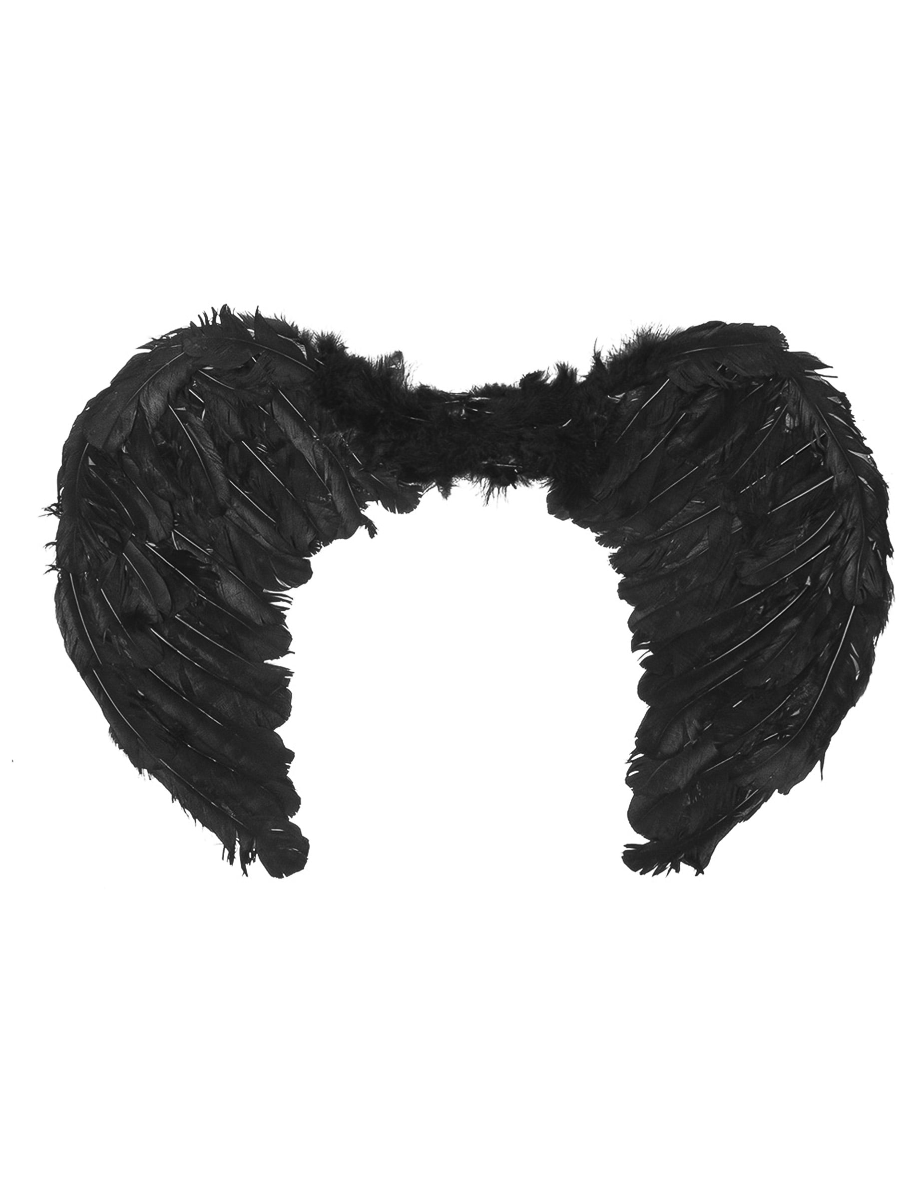 Vue de face des ailes d'anges noires