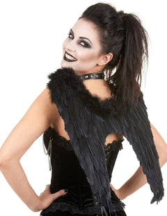 Halloween černá křídla