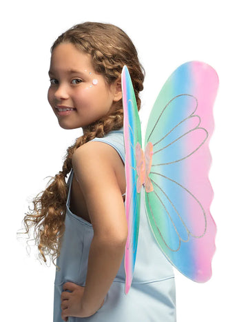 Vícebarevná motýlí křídla