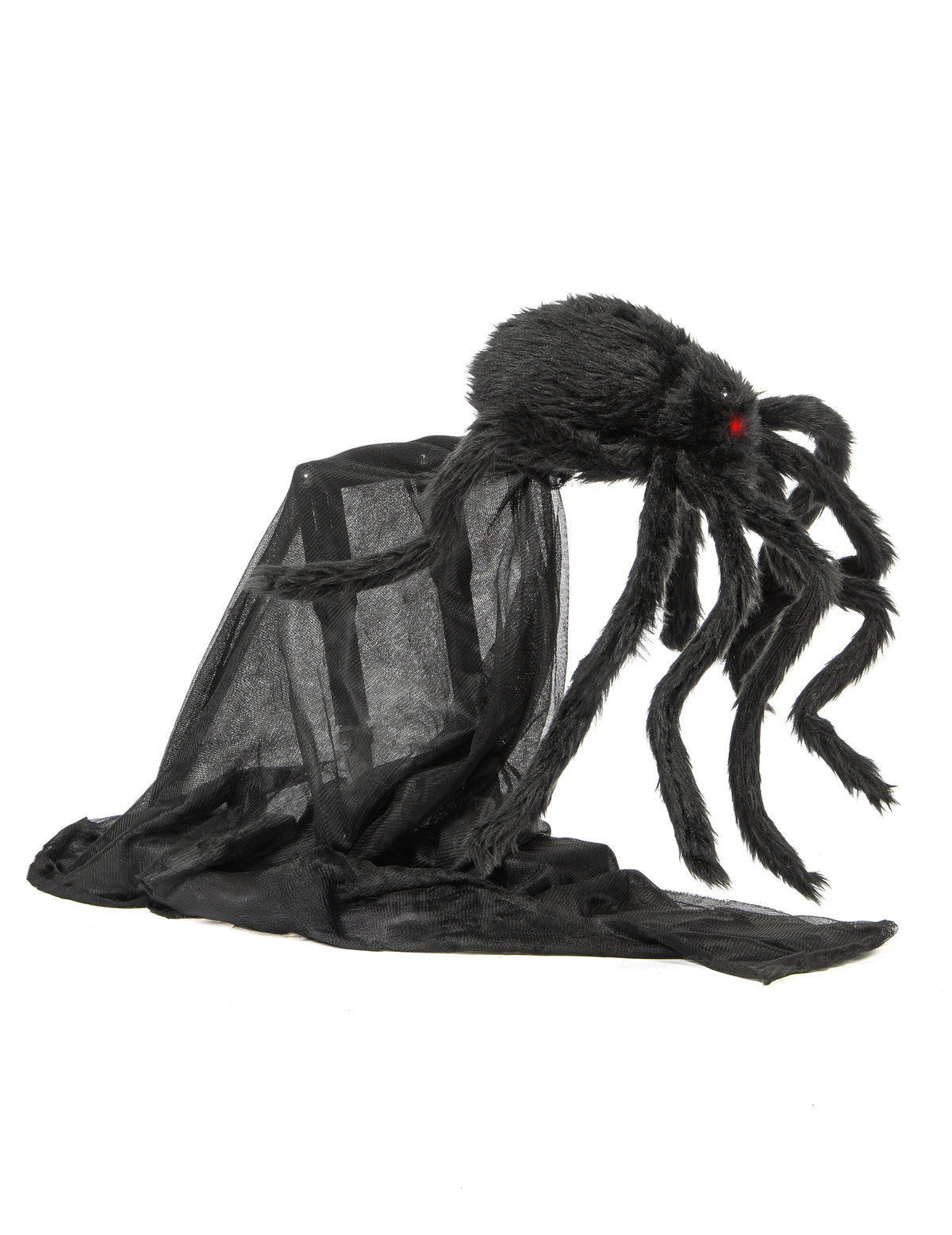 Vue de profil de l'araignée animée sauteuse d'Halloween