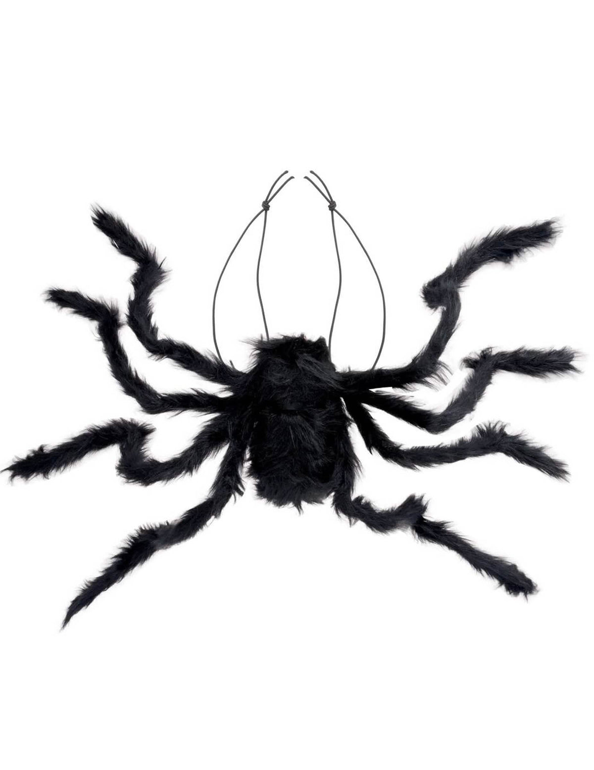 Détail des élastiques de fixation de l'araignée géante à porter sur le dos