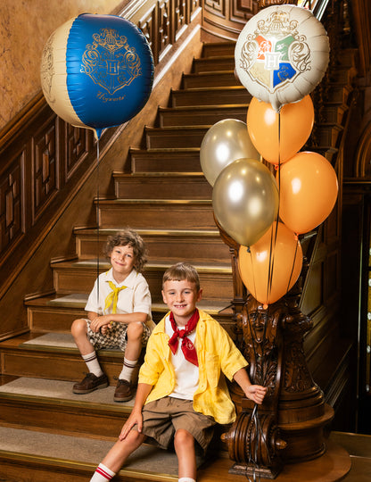 Ballon aluminium Harry Potter™ Blason de Poudlard 35 cm