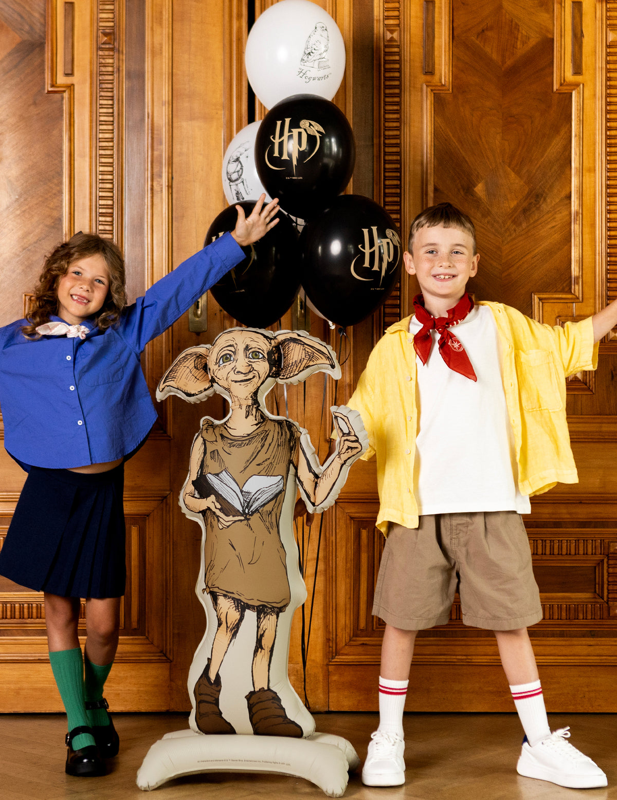 Ballon aluminium sur pied Harry Potter™ Dobby 54x105 cm