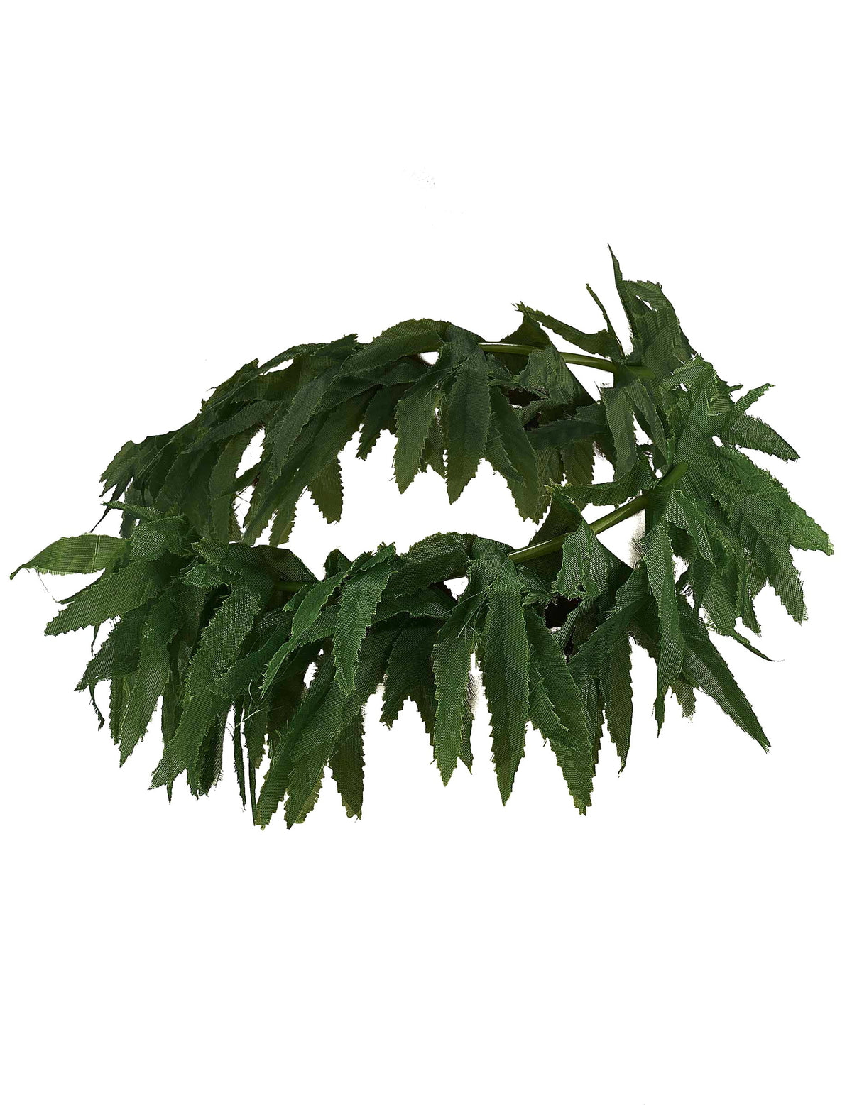 Vue de face du bandeau feuilles tropicales