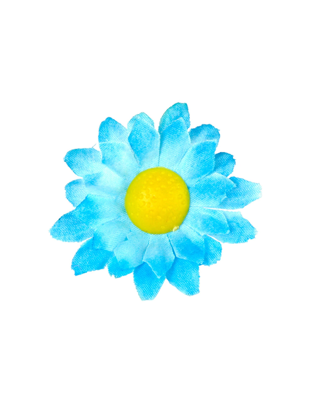 Gros plan sur une fleur des fleurs marguerites pour décoration
