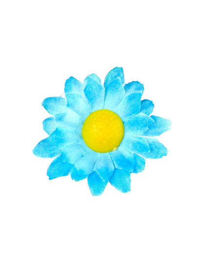 Boite de 20 fleurs marguerite bleu