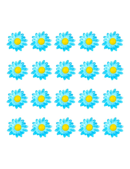 Boite de 20 fleurs marguerite bleu