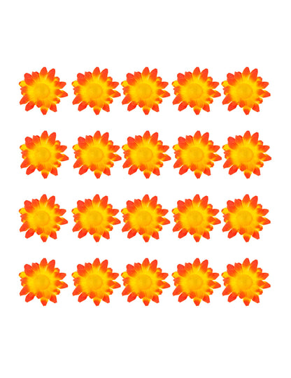 Boite de 20 fleurs marguerite jaune orangé