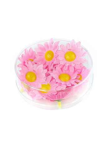 Boite de 20 fleurs marguerite rose clair