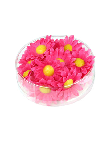 Boite de 20 fleurs marguerite rose