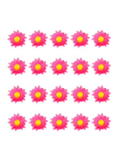 Boite de 20 fleurs marguerite rose