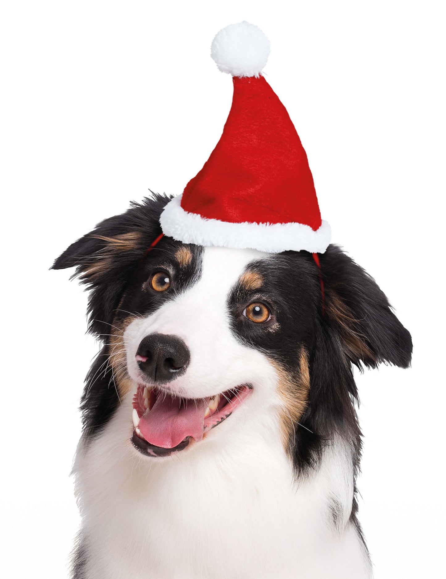 Vánoční čepice pro domácí mazlíčky