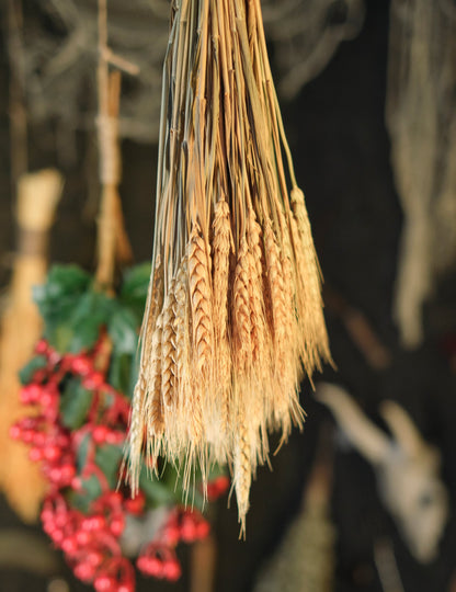 Kytice z 60 přírodních pšeničných klasů cm