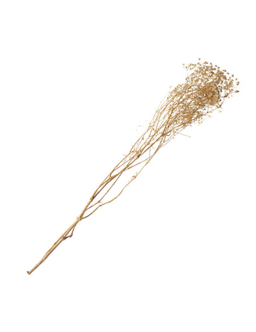 Kytice sušené bílé gypsofily 25 g - 80 cm