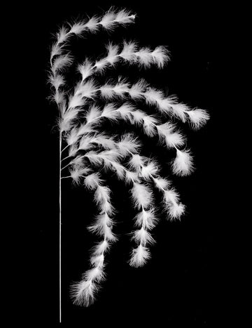 Větvení 7 pramenů bílé peří 60 cm bohémská atmosféra