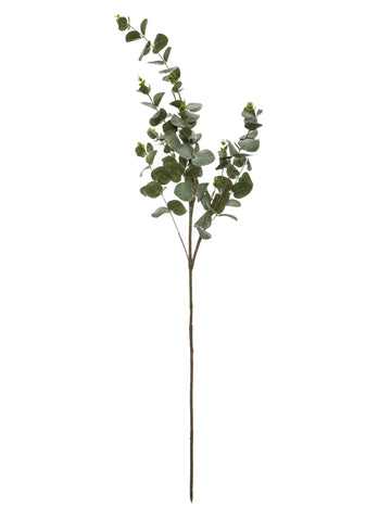 Eukalyptová větev 98 cm
