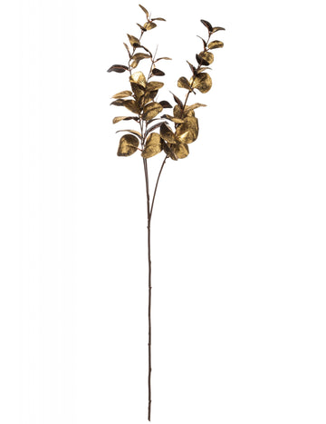 Zlatá větev eukalyptu 76 cm 