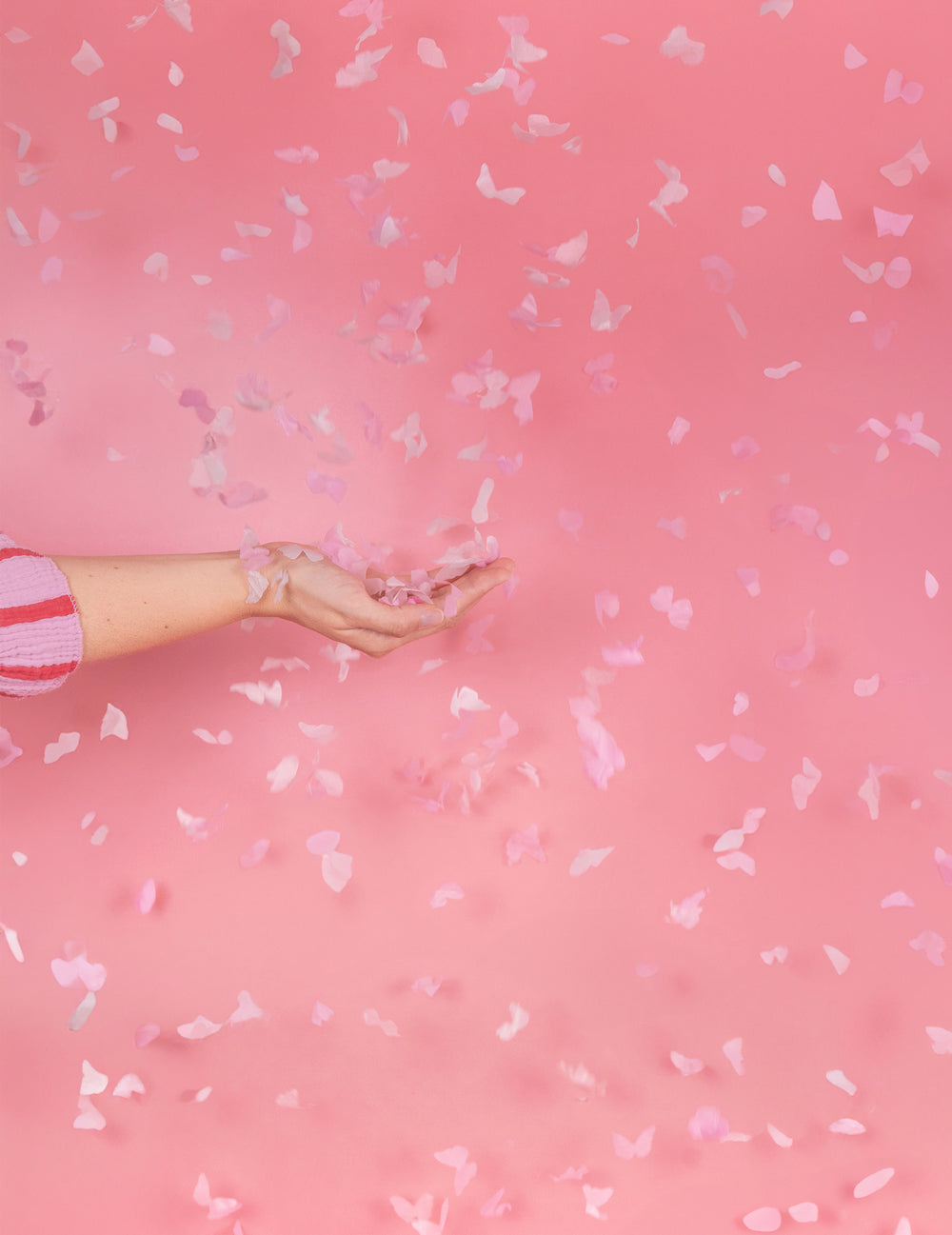 Effet de pluie de confettis du canon à confettis papillons pour gender reveal roses