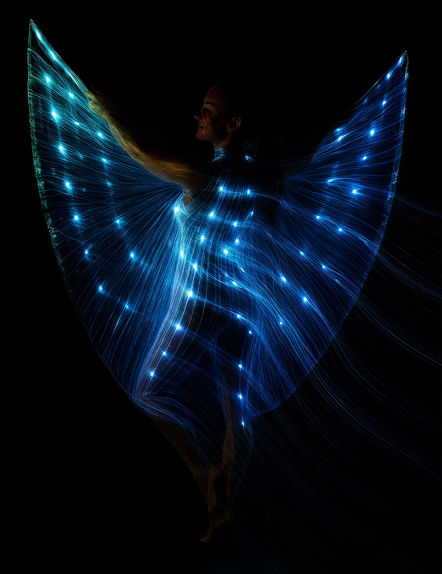 Cape Iris se stonky a světlem 140 cm